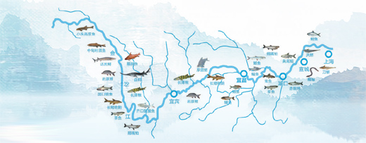 恒行注册：保护生物多样性  呵护长江母亲河（新时代画卷）(图11)