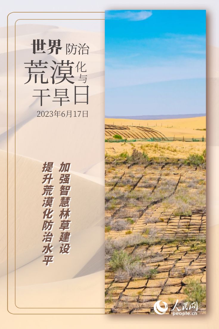 恒行测速：世界防治荒漠化与干旱日 | 防沙治沙的“中国智慧”(图3)