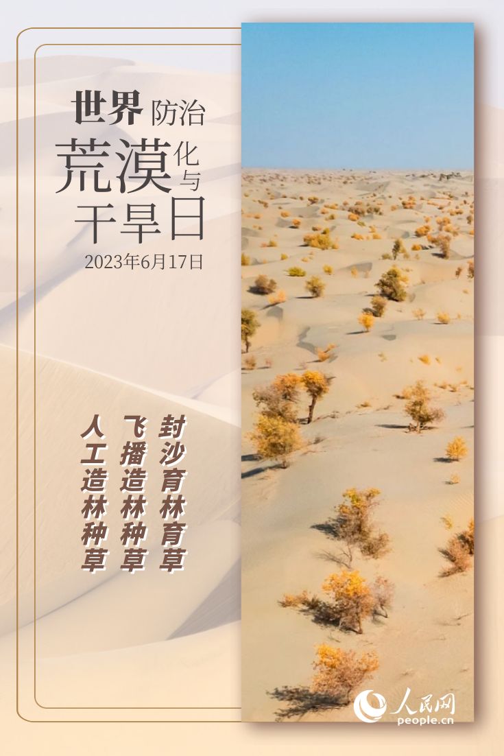 恒行测速：世界防治荒漠化与干旱日 | 防沙治沙的“中国智慧”(图5)
