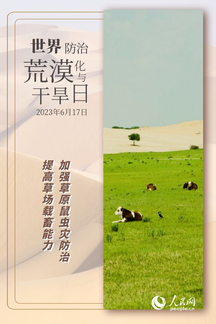 恒行测速：世界防治荒漠化与干旱日 | 防沙治沙的“中国智慧”(图7)