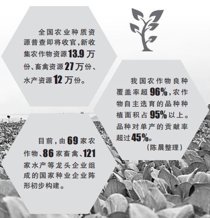 恒行登录：攥紧中国种子，为良种装上“中国芯”(图1)