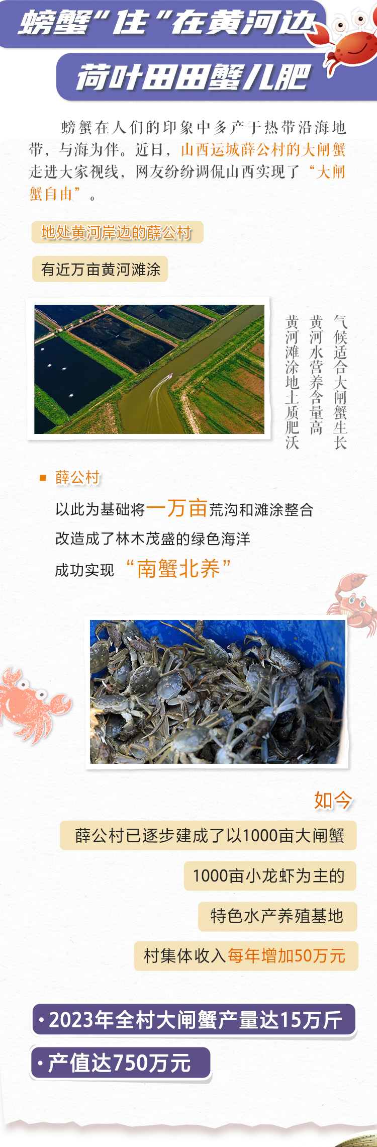 恒行登录：螃蟹“住”在黄河边 山西村民致富秘籍还有啥？(图2)